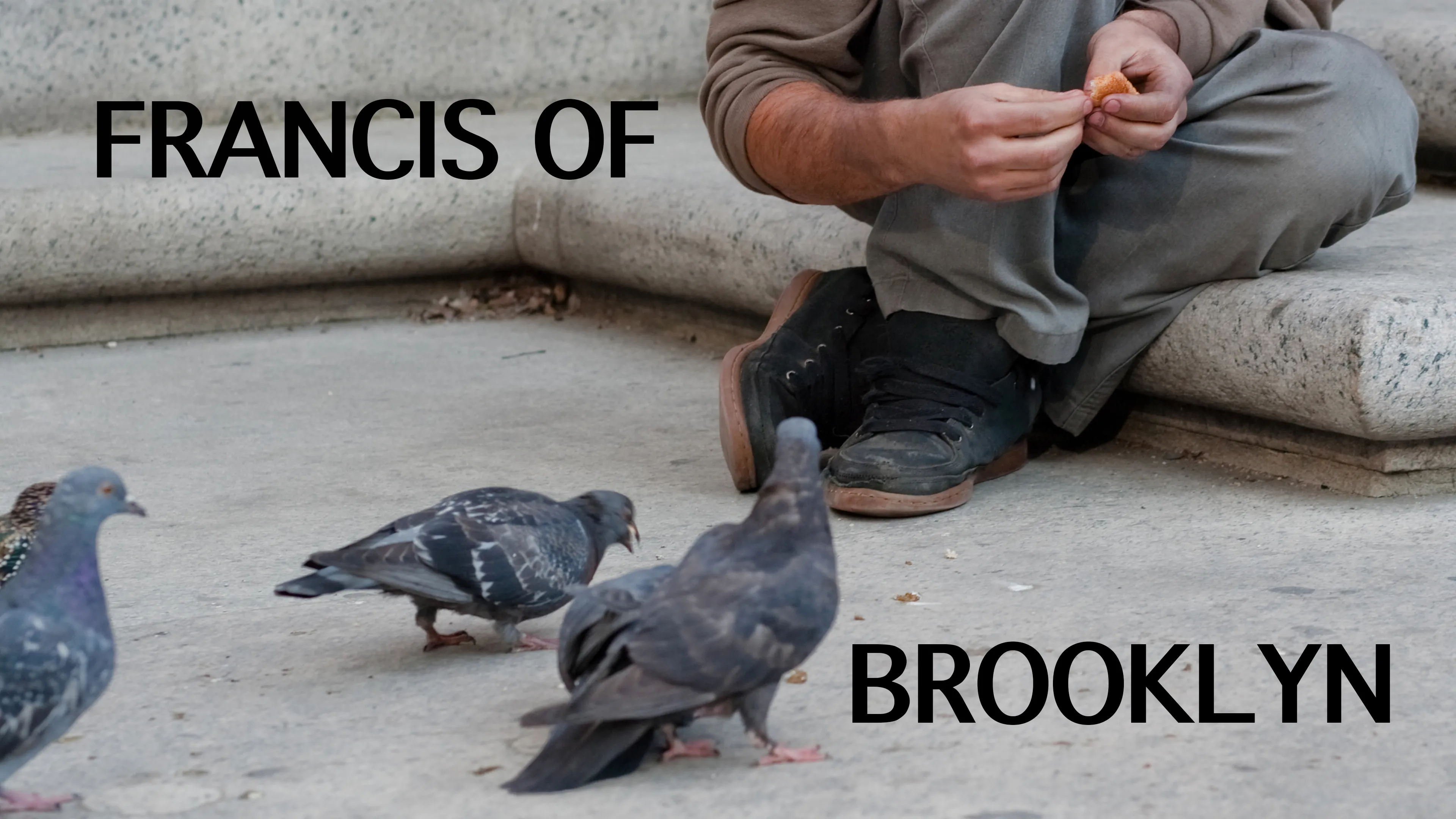 Francis of Brooklyn poster